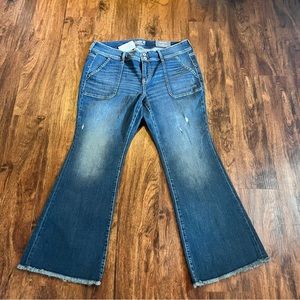 NWT Torrid Mis Rise Flare - Size 16 Short